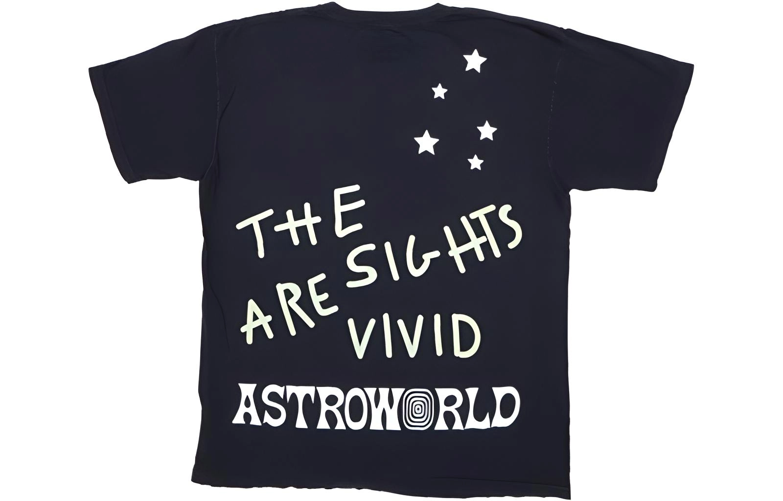 Travis Scott Cactus Jack Astro World T