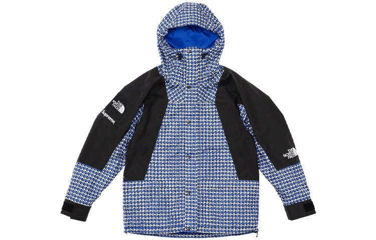 Supreme x THE NORTH FACE SS21