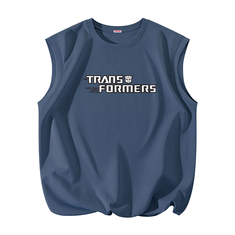 TRANSFORMERS cityboyt