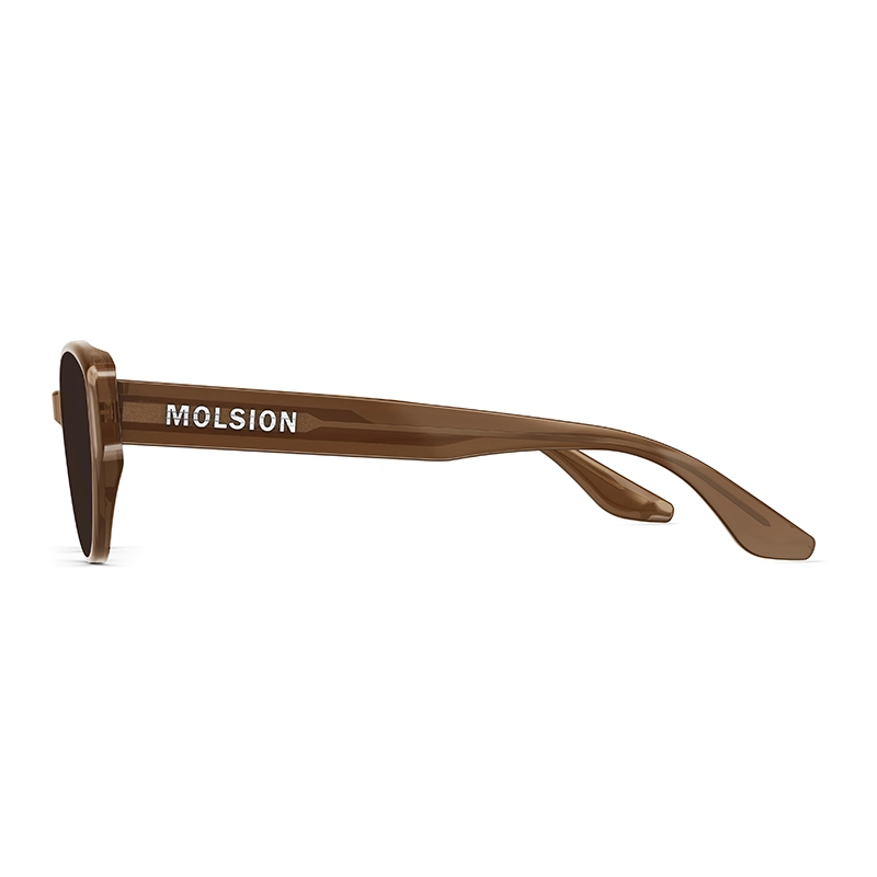 MOLSION