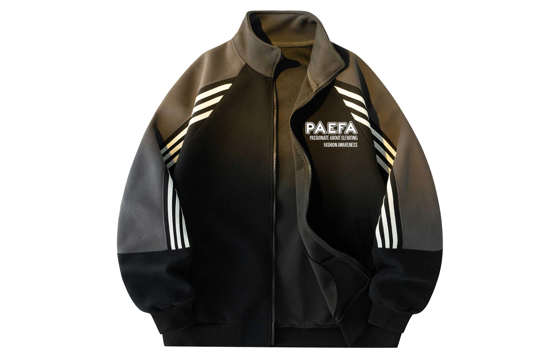 PAEFA Logo