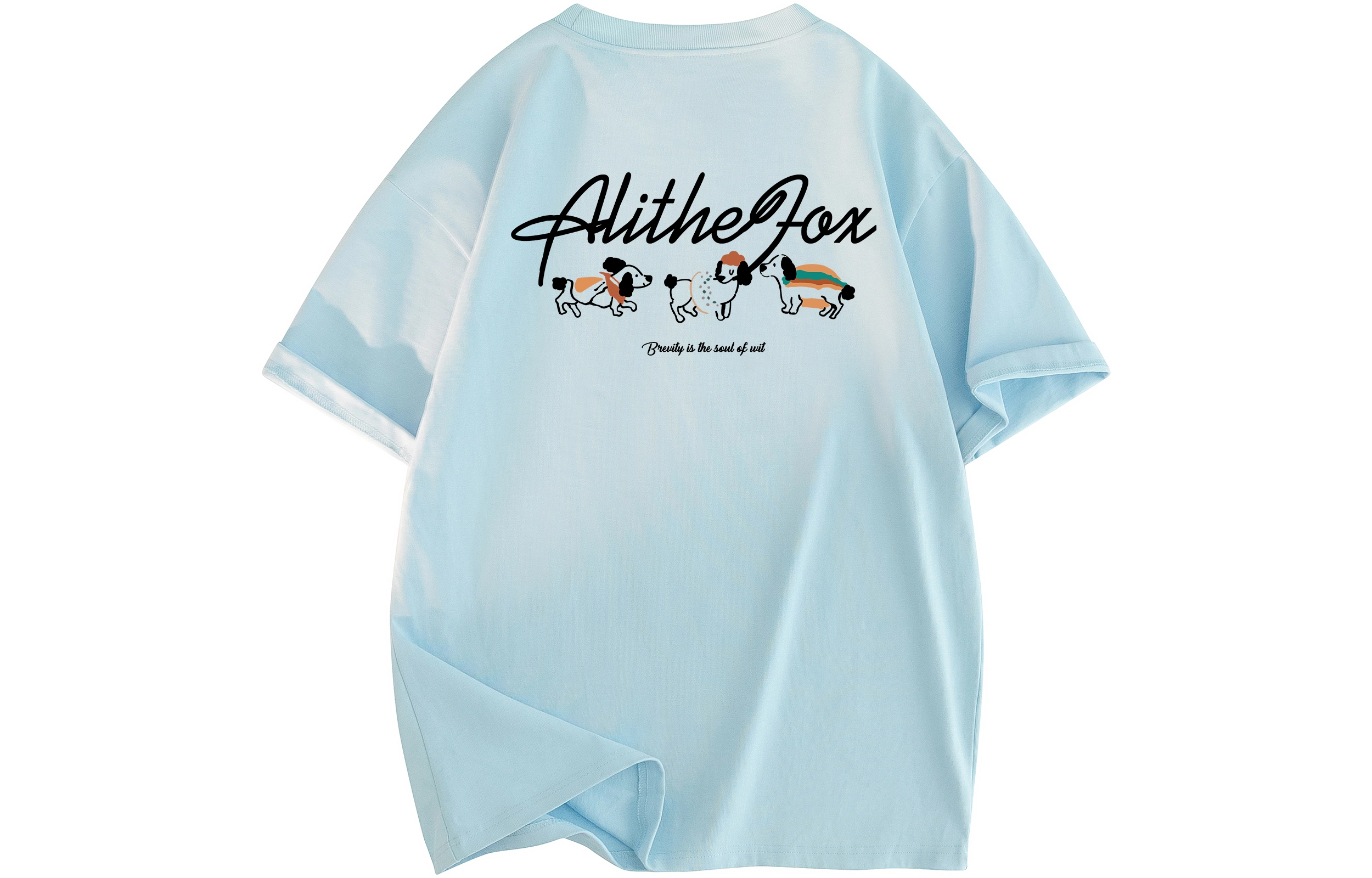 ALI THE FOX LogoTT