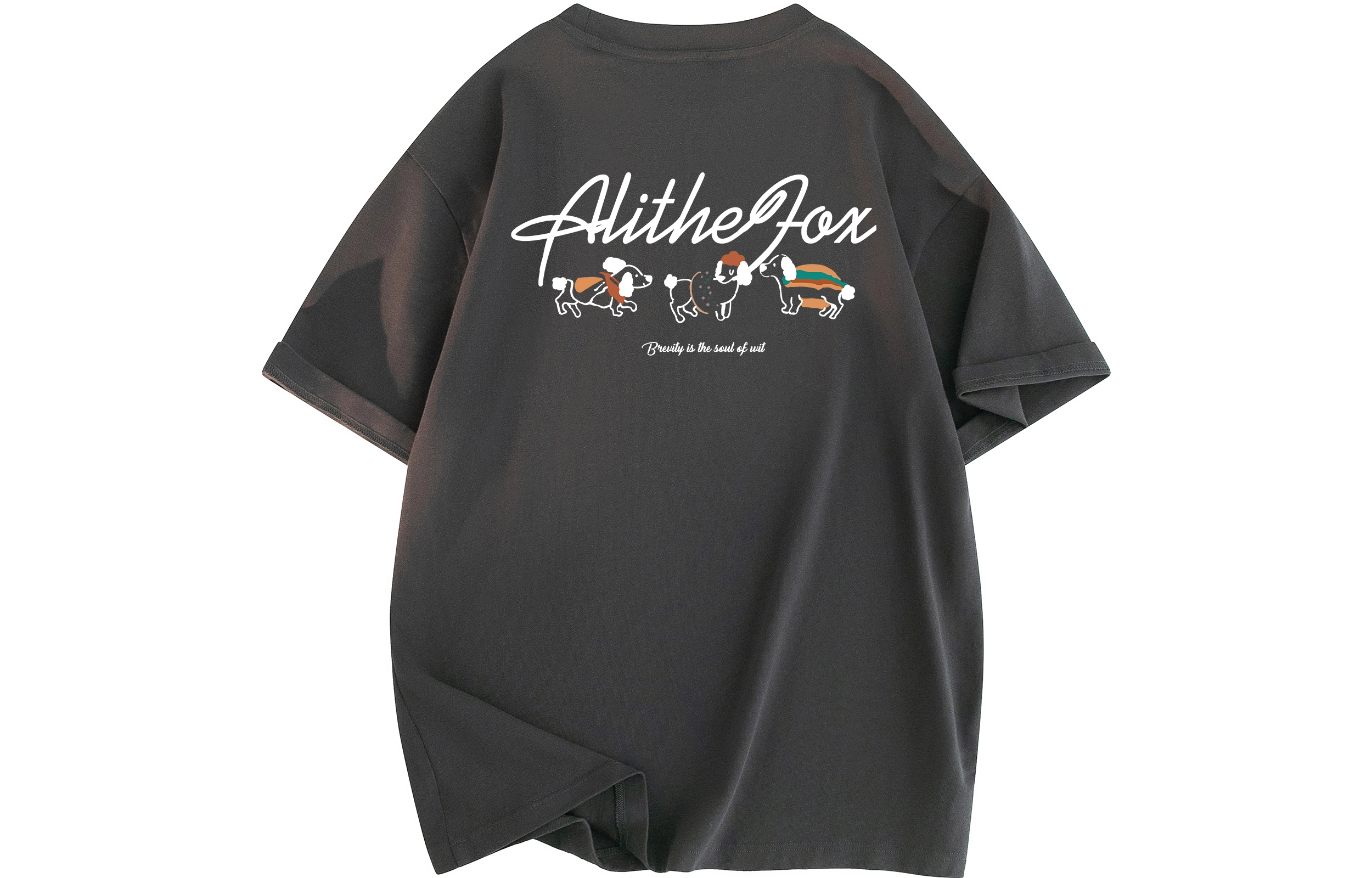 ALI THE FOX LogoTT