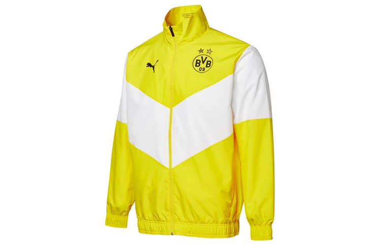 Puma BVB logo