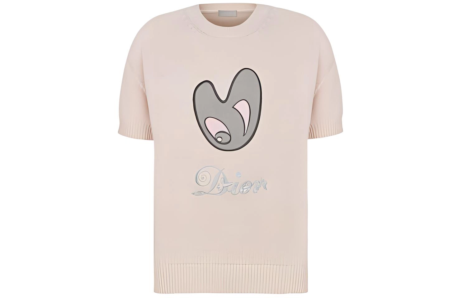 DIOR T