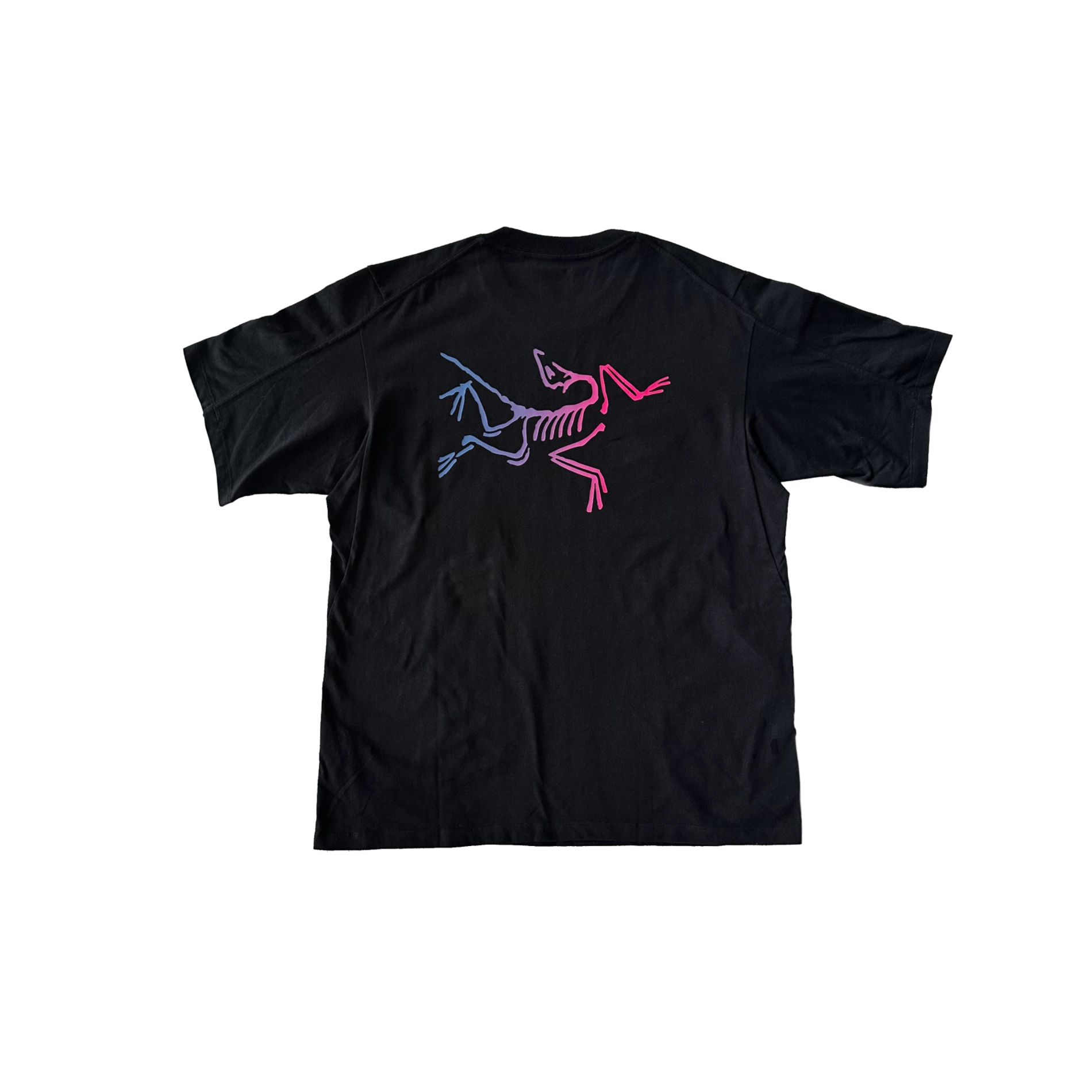 Arcteryx KRAGG JACK logoT Black