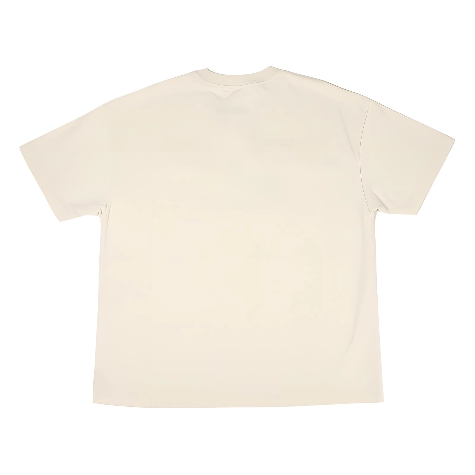 Revenge T