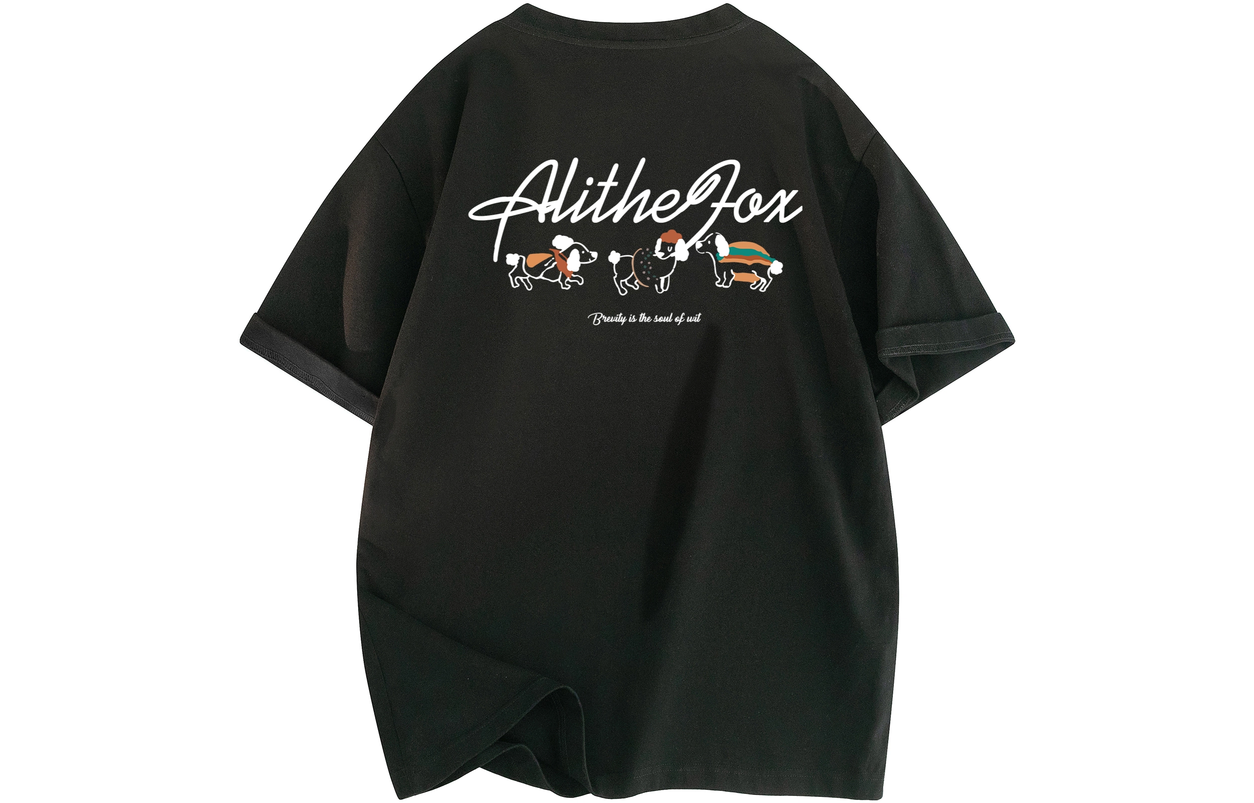 ALI THE FOX LogoTT