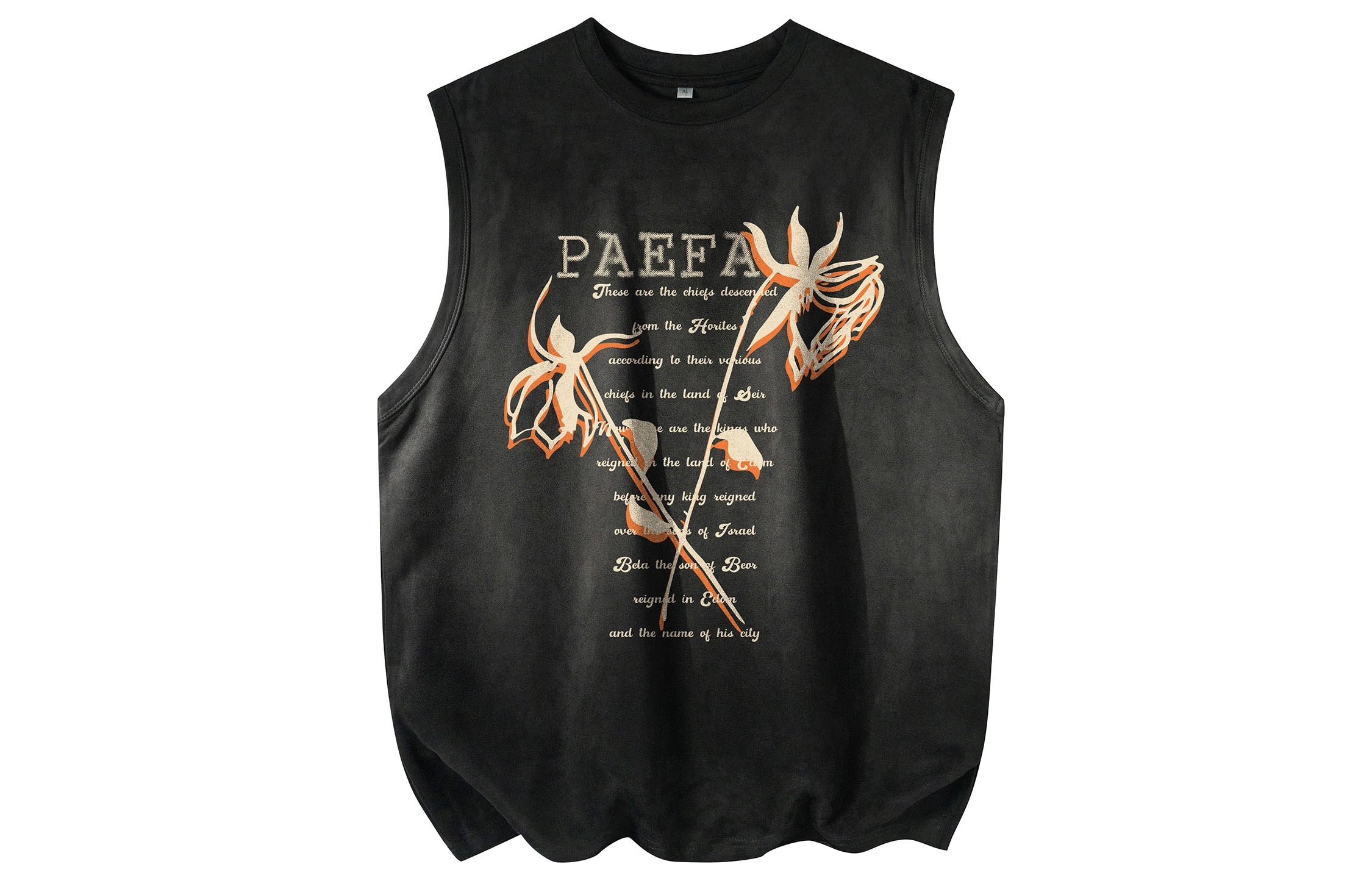 PAEFA Logo