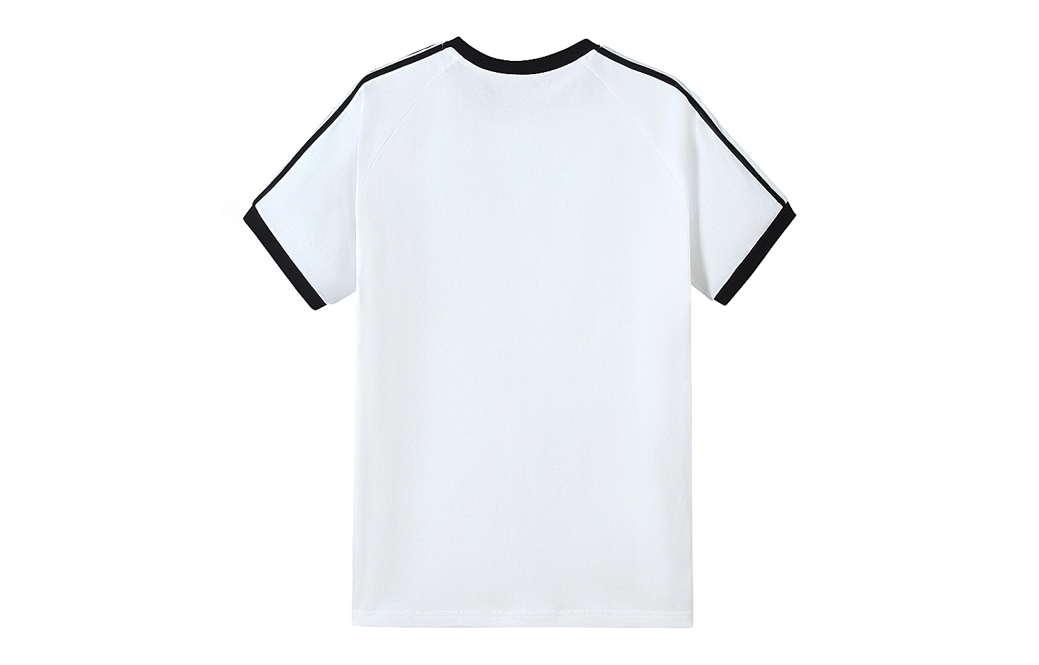 CAMEL T