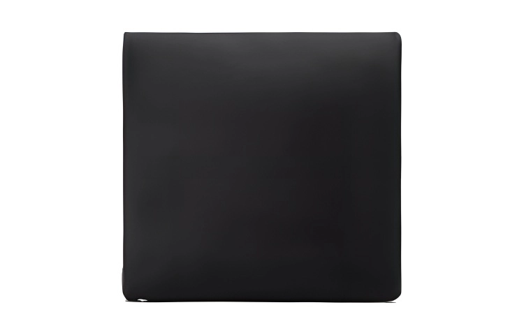 alexander wang logo