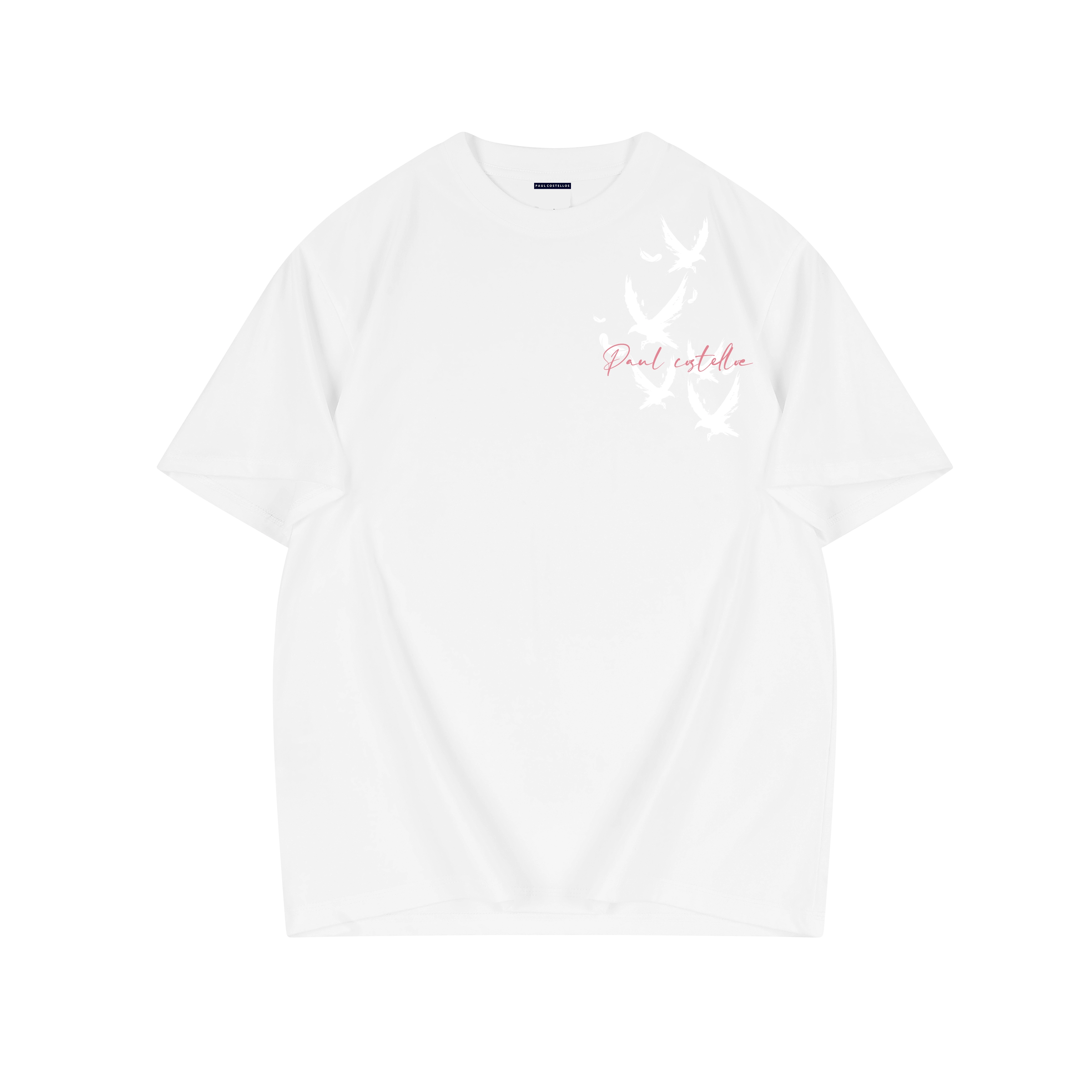 PAUL COSTELLOE T
