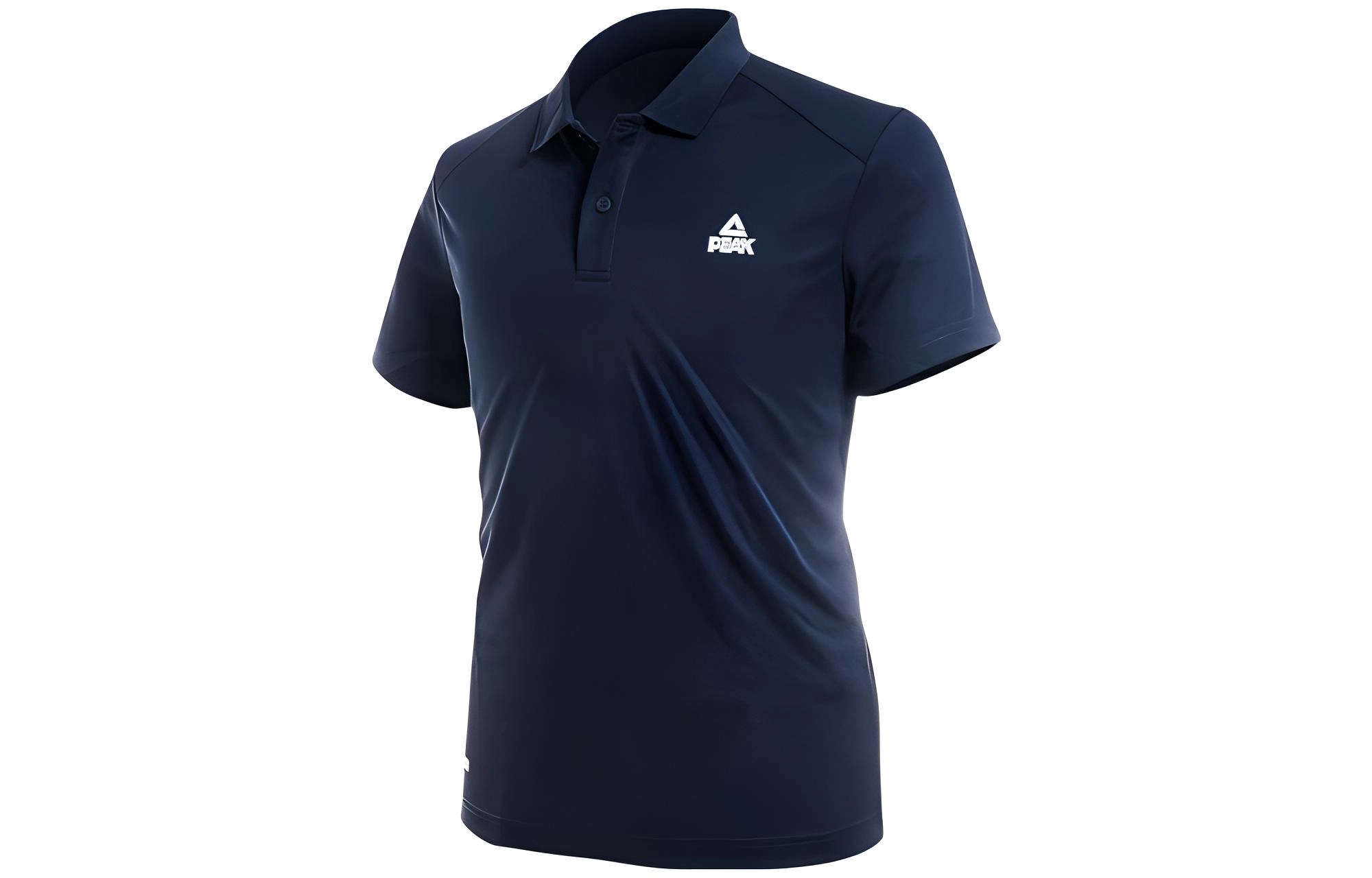 LogoPolo