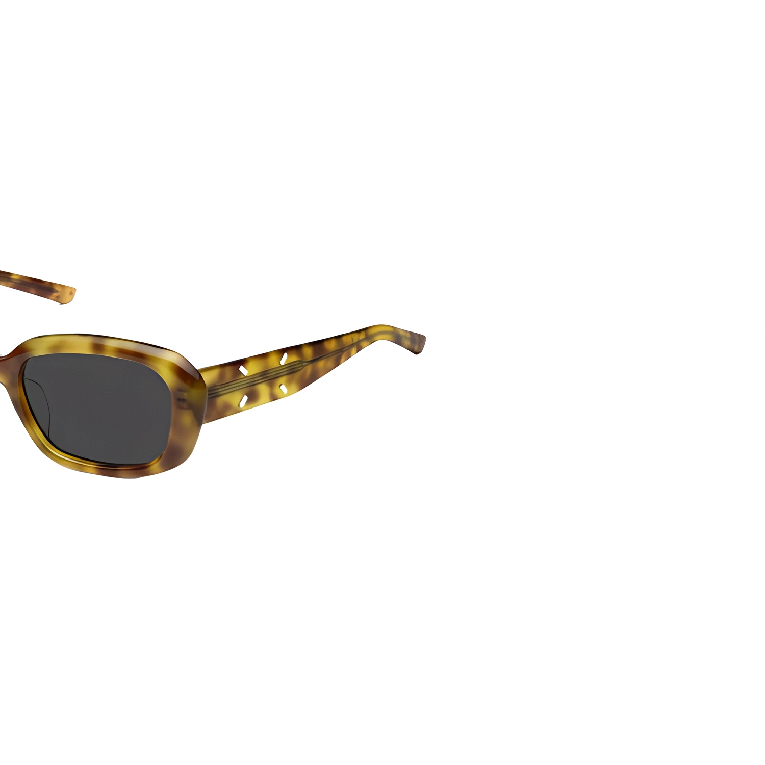 Gentle Monster x son Margiela MM07 T6 "Tortoise"
