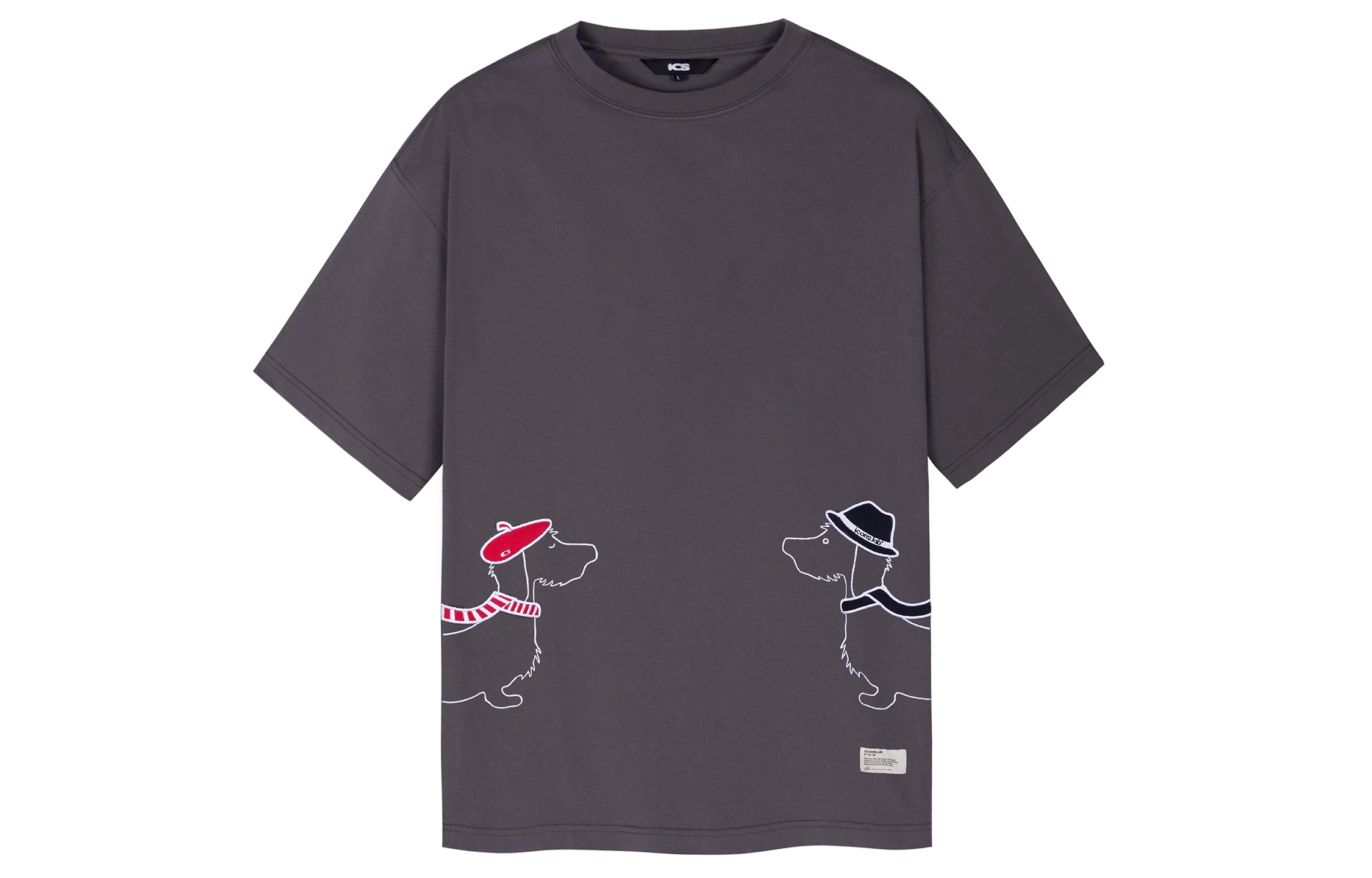 ICONS Lab T