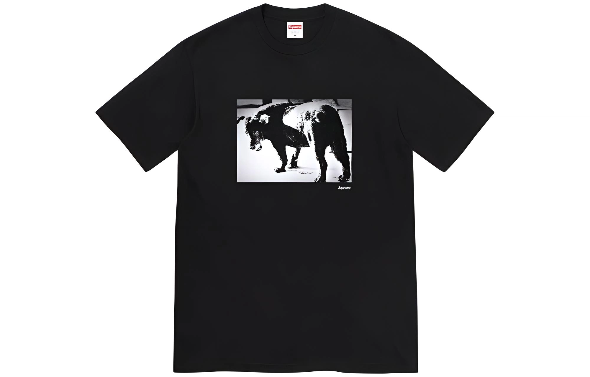 Supreme SS22 Week 19 Daid Moriyama Dog Tee T