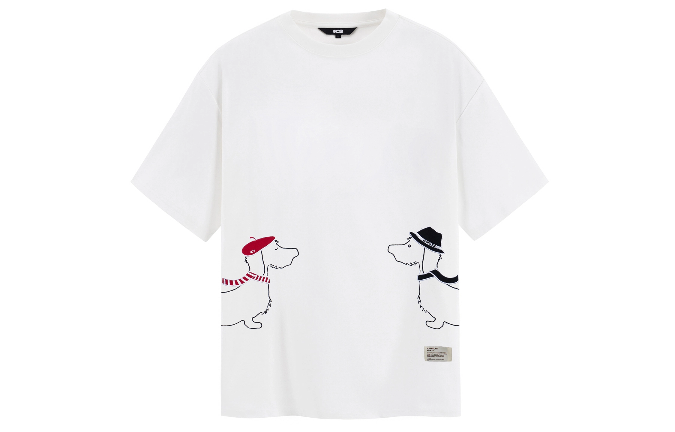 ICONS Lab T
