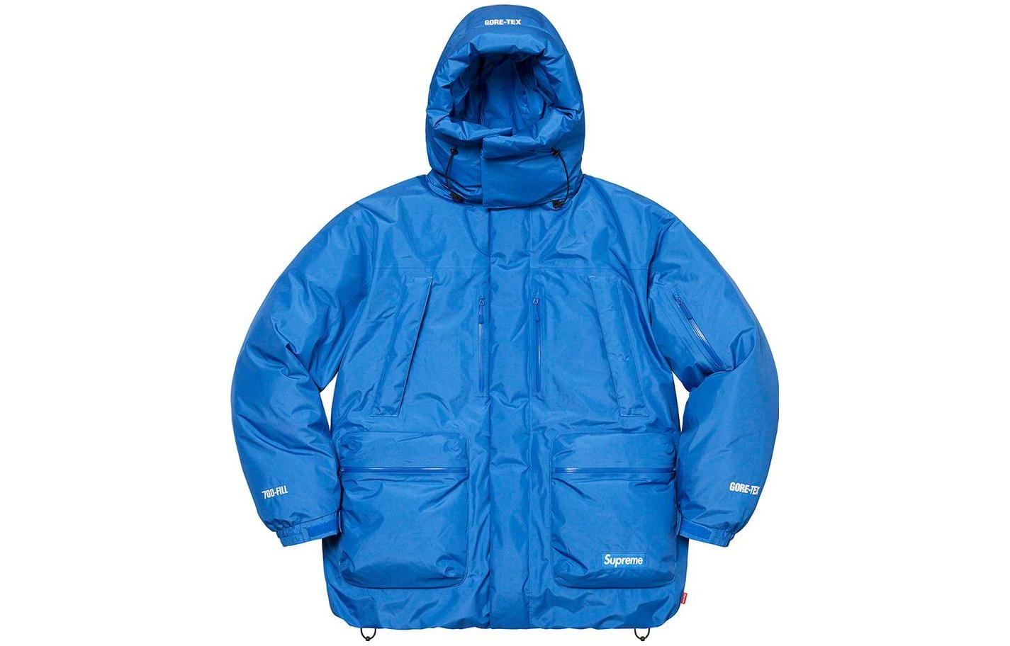 Supreme FW22 Week 17 GORE-TEX 700-Fill Down Parka