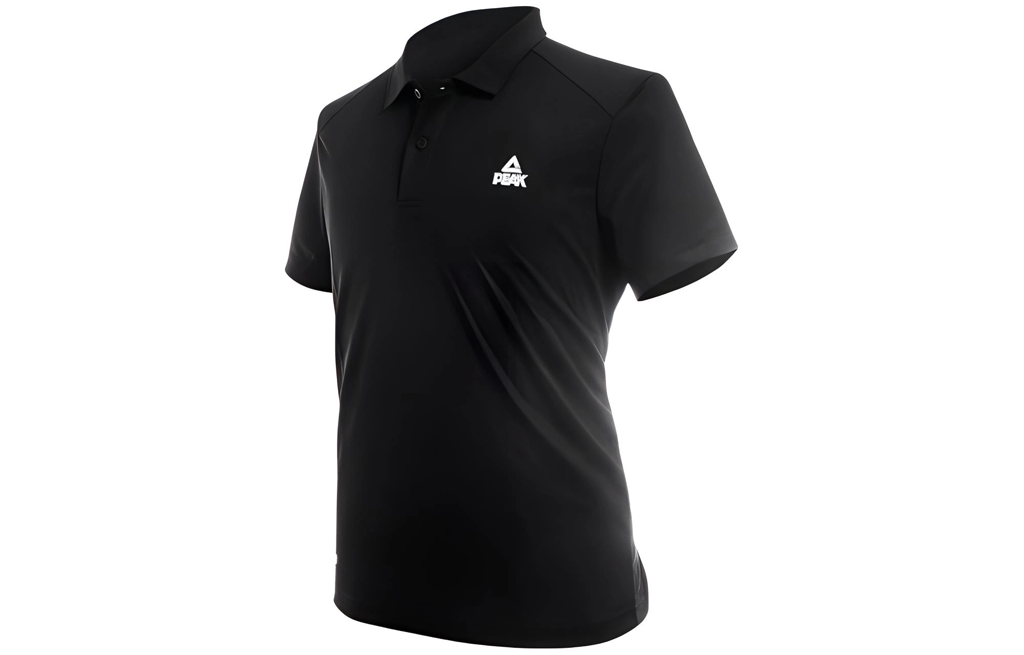 LogoPolo
