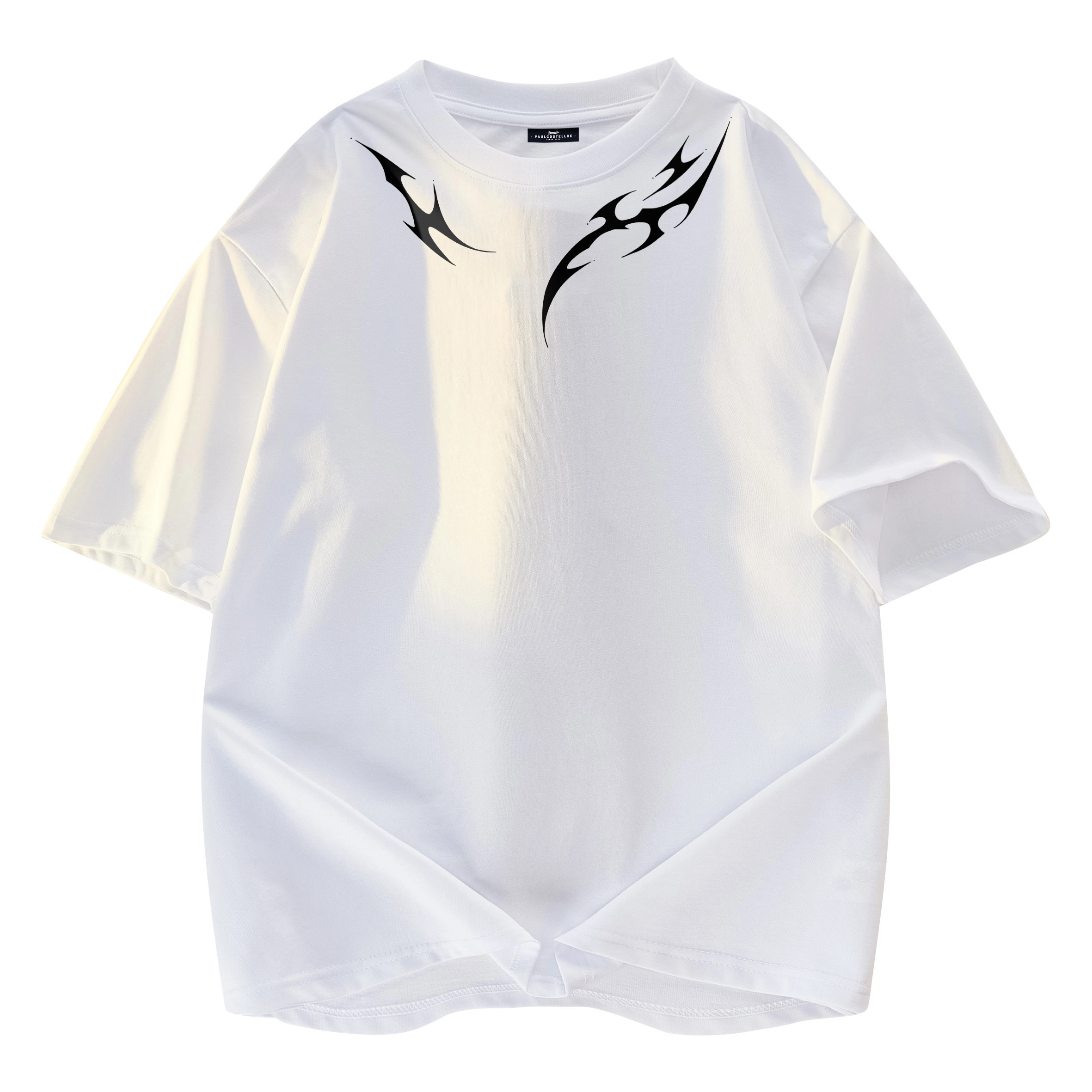 PAUL COSTELLOE T