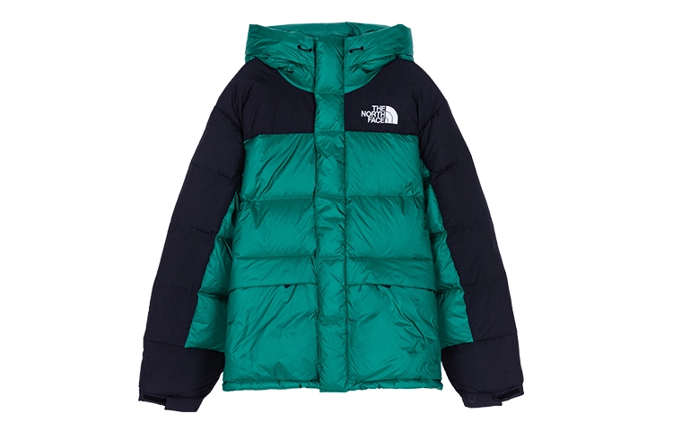 THE NORTH FACE DOWN PARKA ENERGY