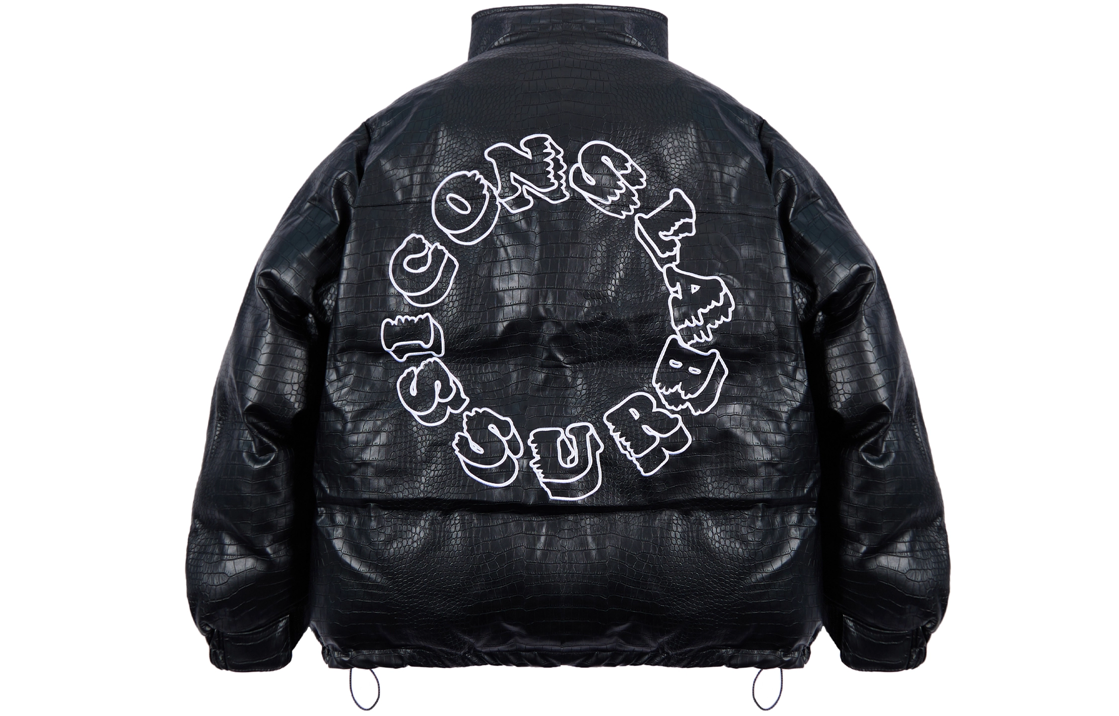 ICONS Lab Pu