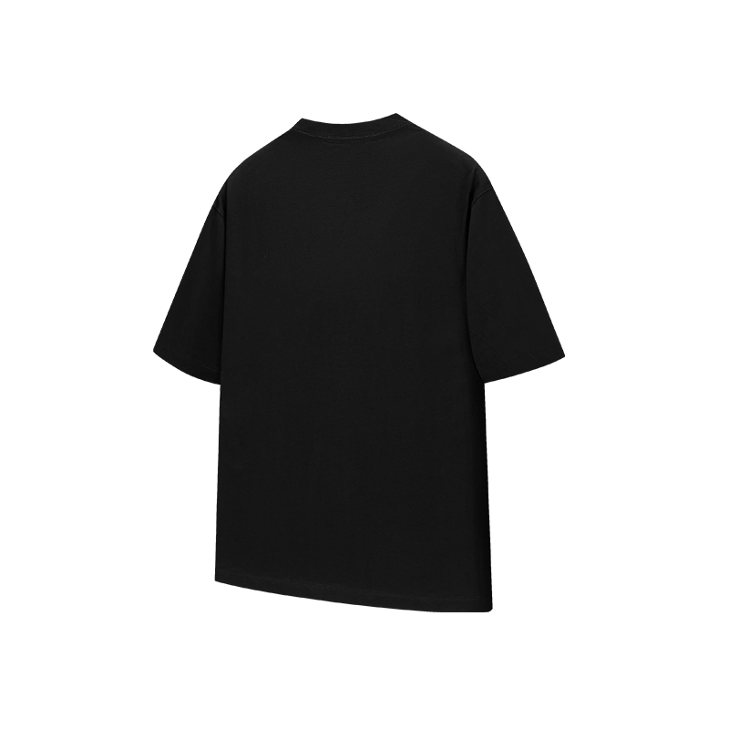 LISENPOK T