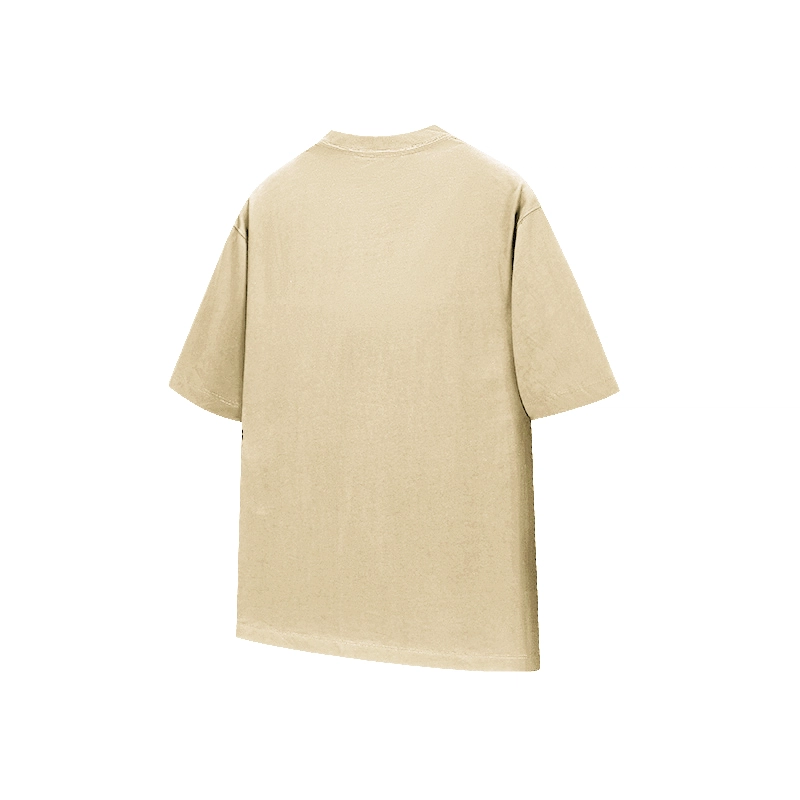 LISENPOK T