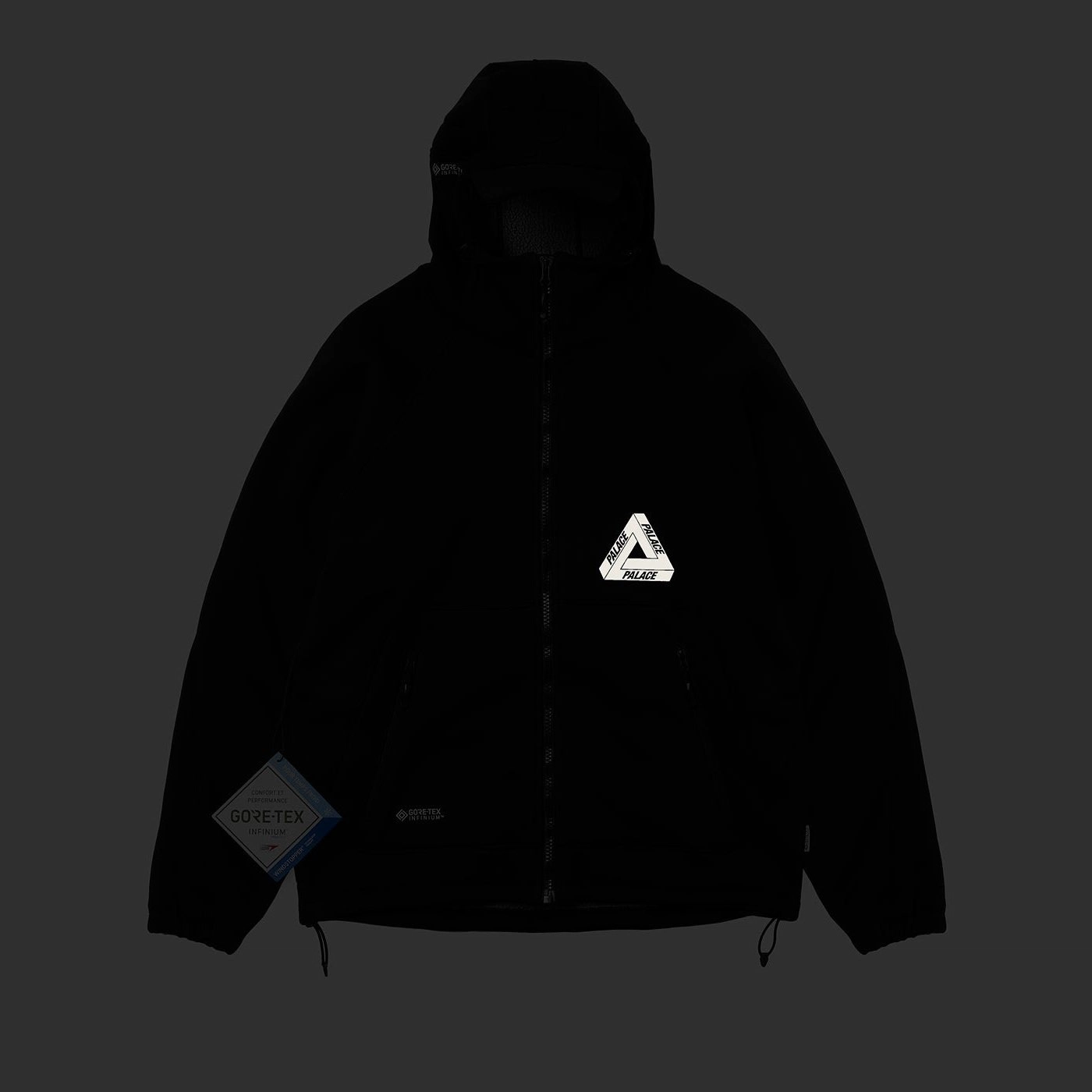 PALACE FW22 Gore-Tex Infinium Cap Jacket Black 3MLogo
