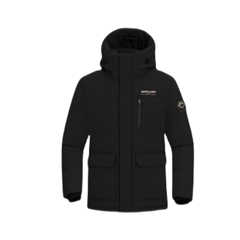 NORTHLAND PROFESSIONAL