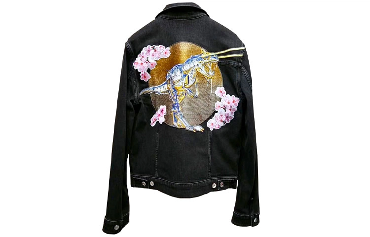 DIOR x
