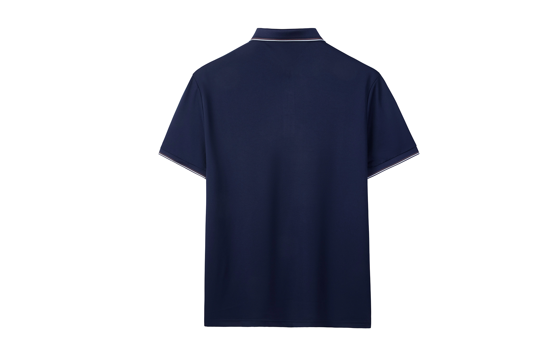 CSKS LogoPolo