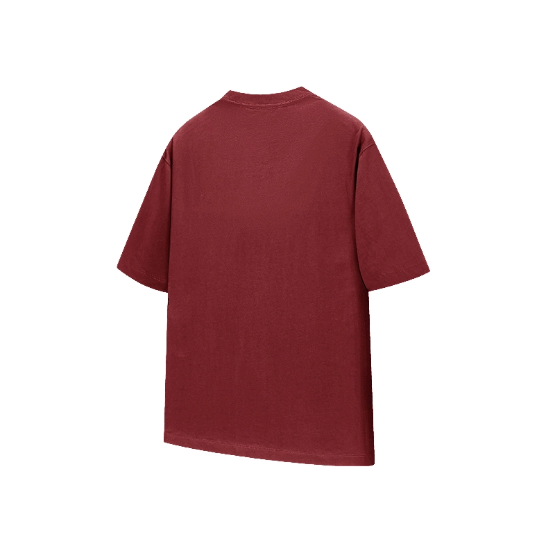 LISENPOK T