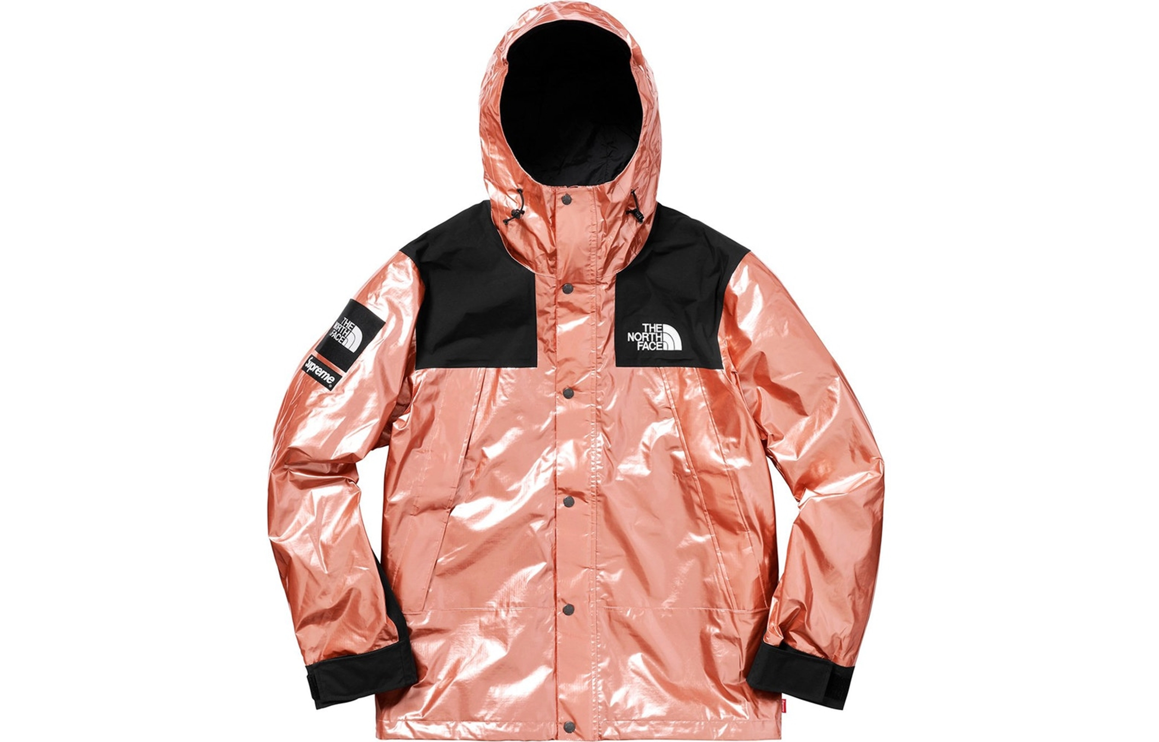 Supreme TNF TNF Metallic Parka