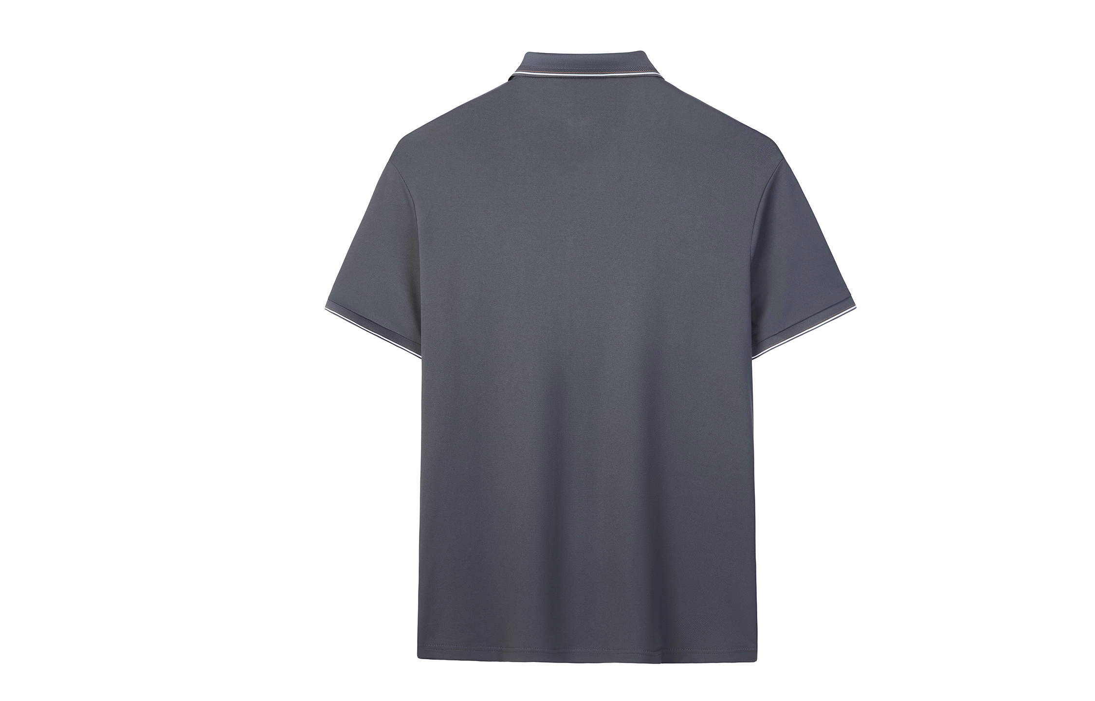 CSKS LogoPolo