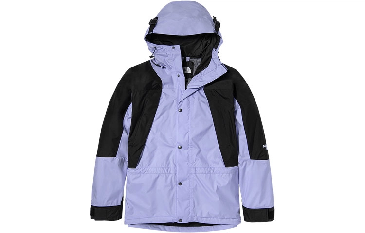 THE NORTH FACE 1994 Retro Mountain Futurelight