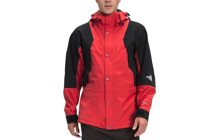 THE NORTH FACE 1994 Retro Mountain Futurelight