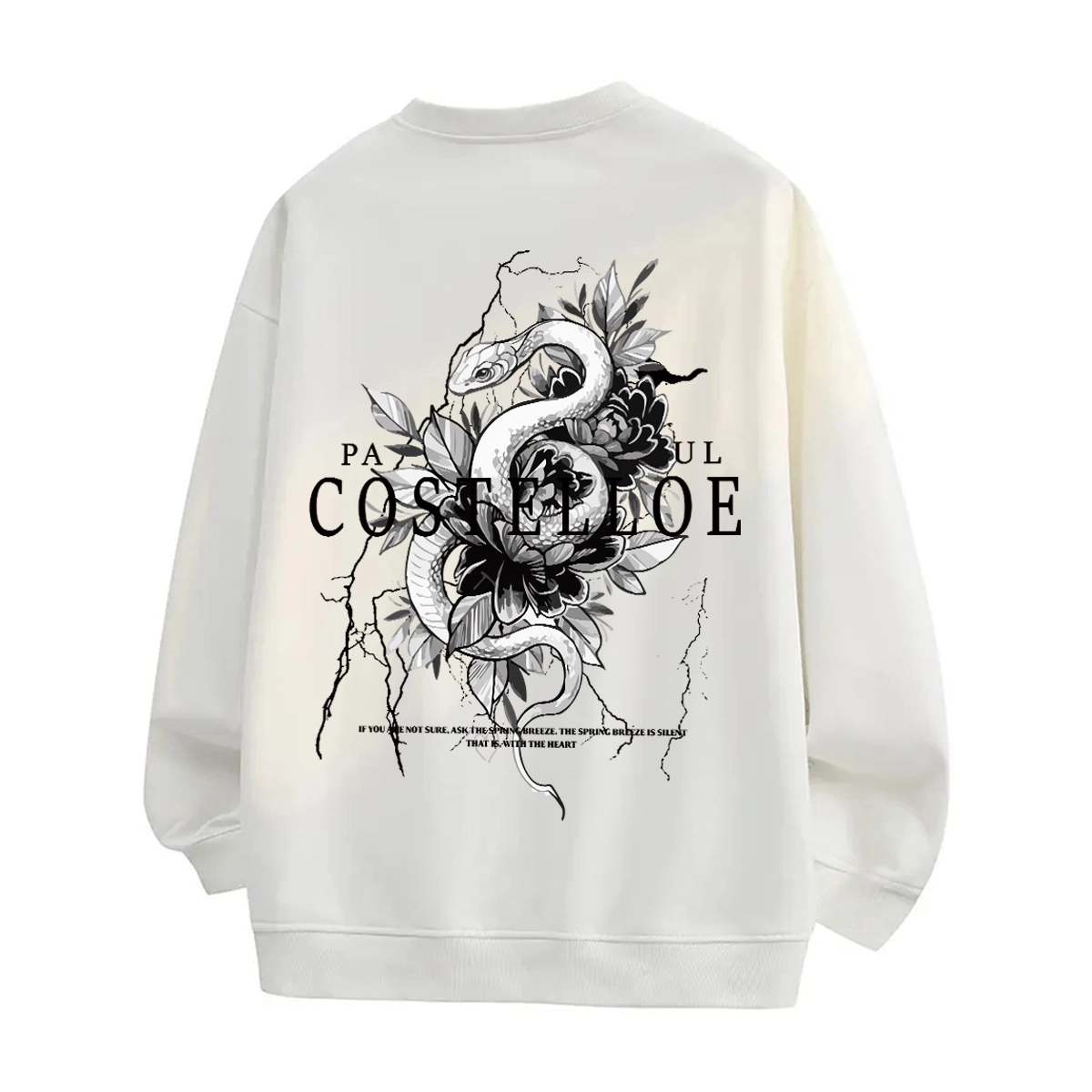 PAUL COSTELLOE