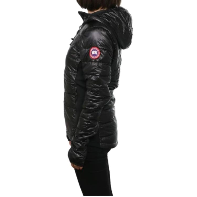 Canada Goose