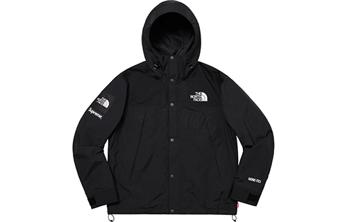 Supreme x THE NORTH FACE SS19 Logo