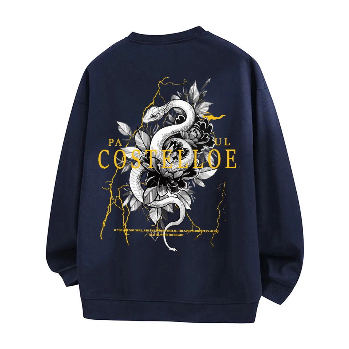 PAUL COSTELLOE