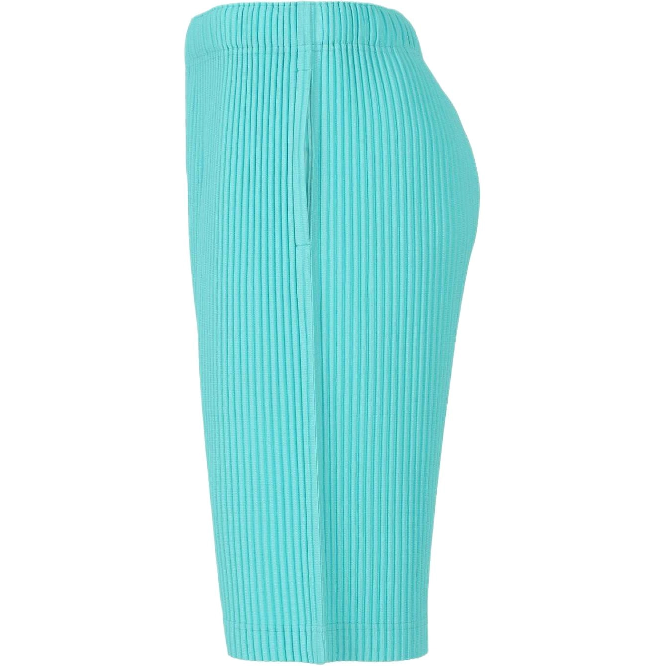 Homme Pliss Issey Miyake