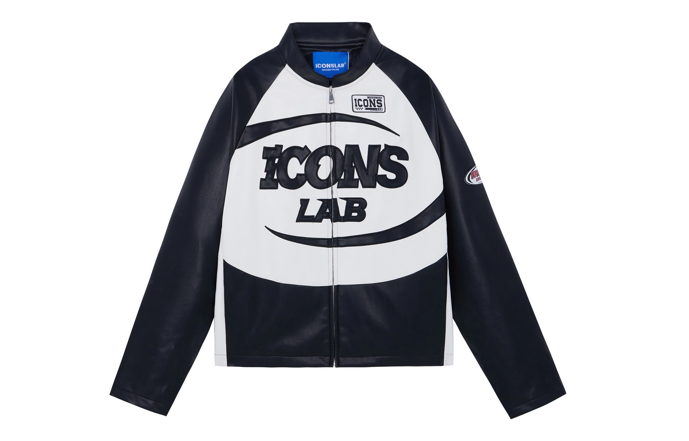 ICONS Lab pu