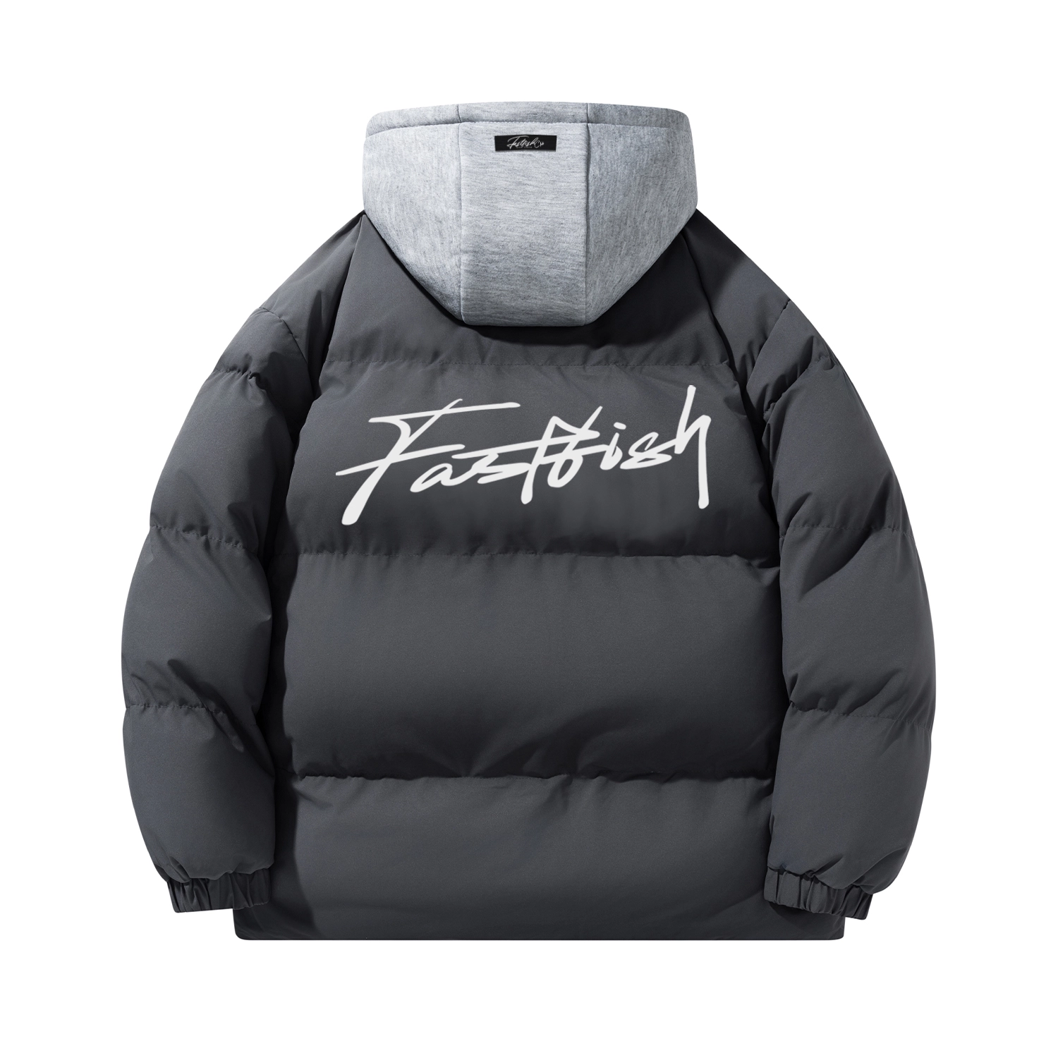 FASTFISH 3DLogo