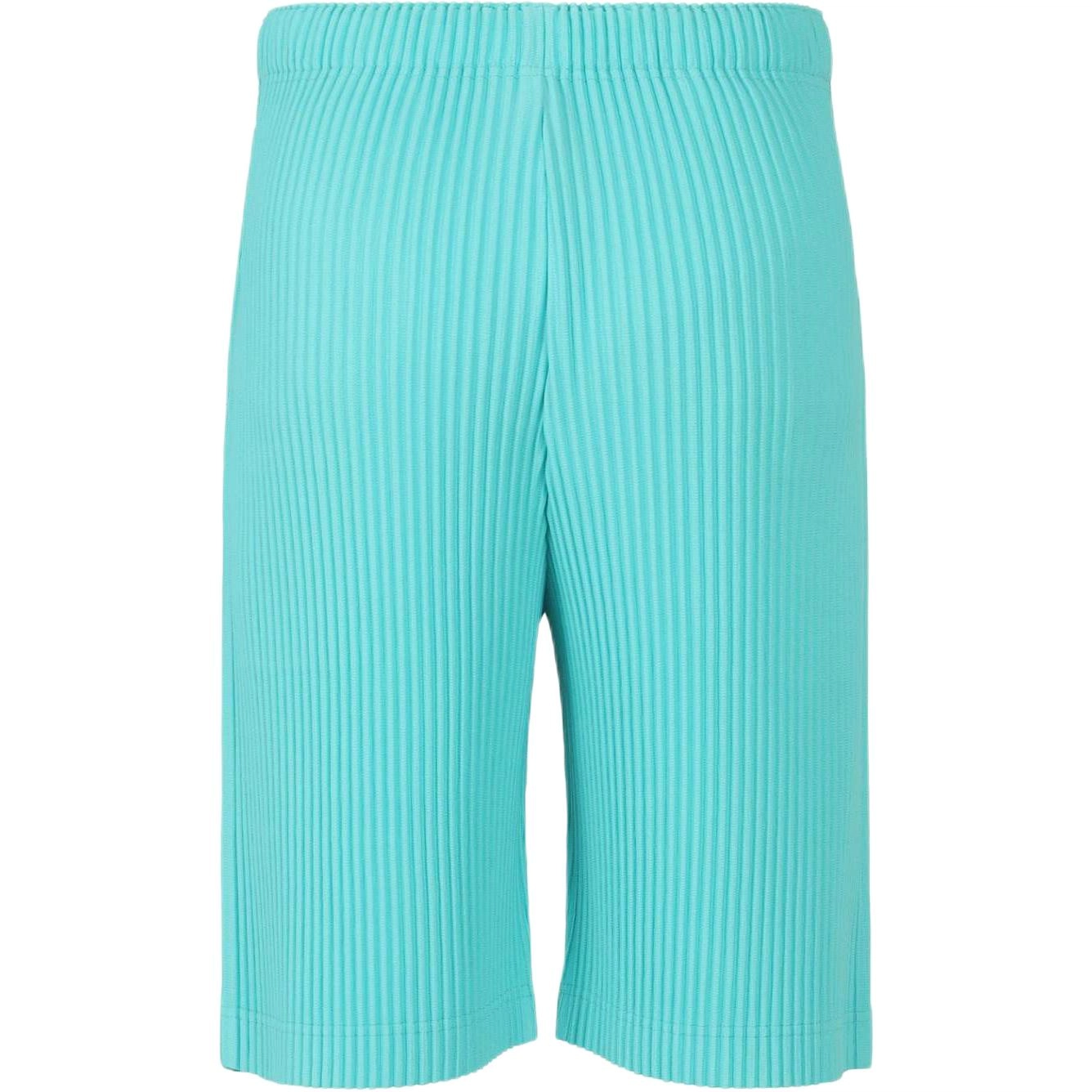 Homme Pliss Issey Miyake