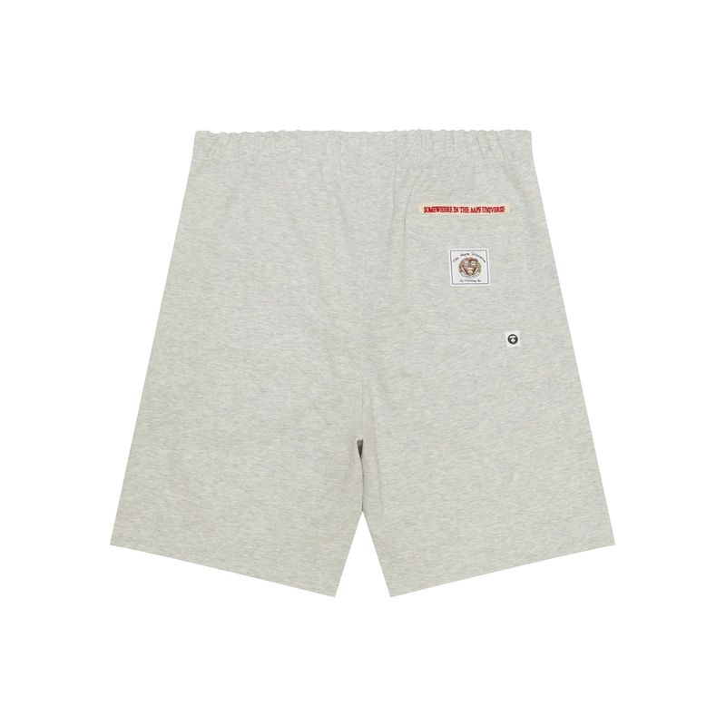 Aape WH2