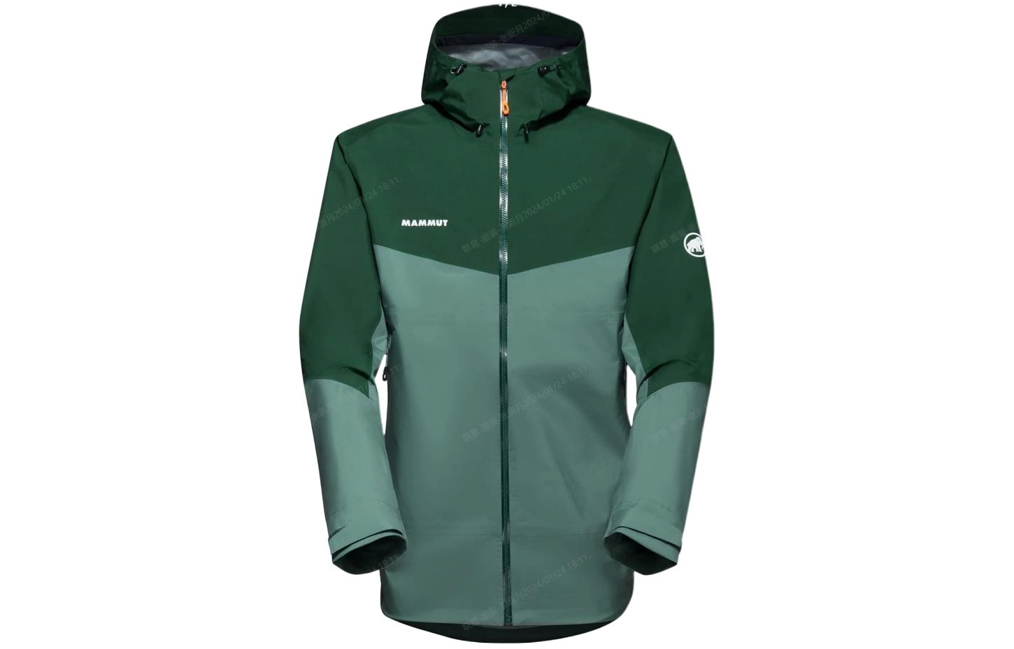MAMMUT