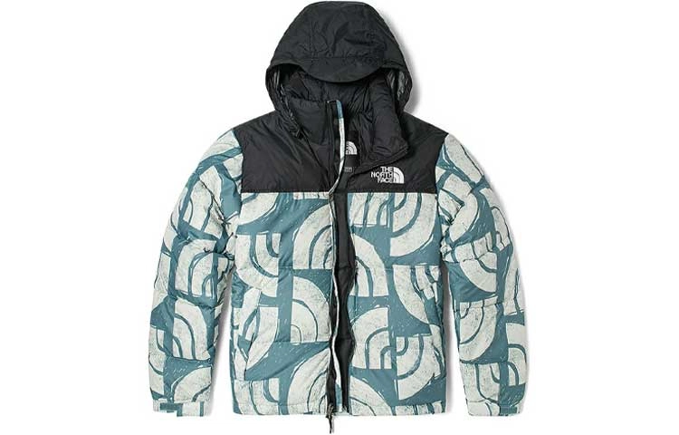 THE NORTH FACE 1996 Retro Nuptse 700