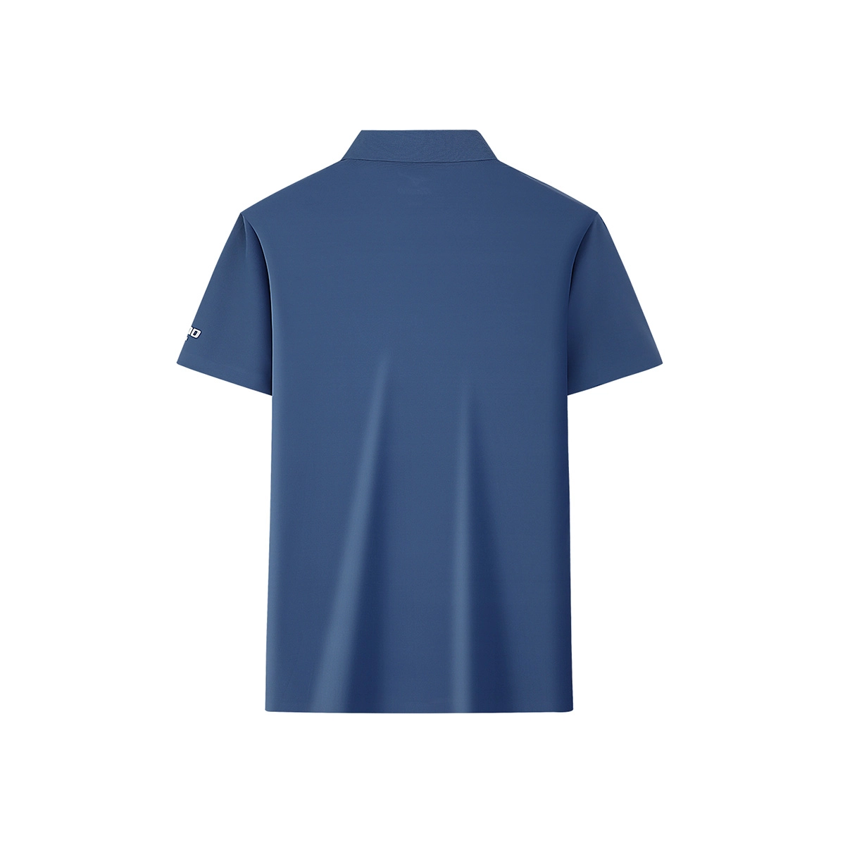 Mizuno LogoPolo
