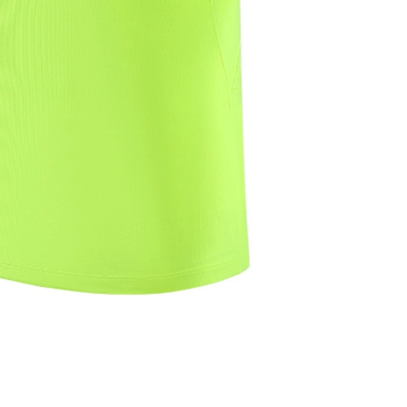 Mizuno T